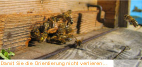 Damit Sie die Orientierung nicht verlieren...